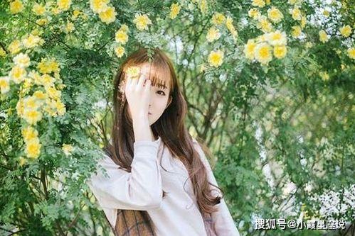 娱乐吃瓜酱原生家庭,揭秘原生家庭背后的故事与影响